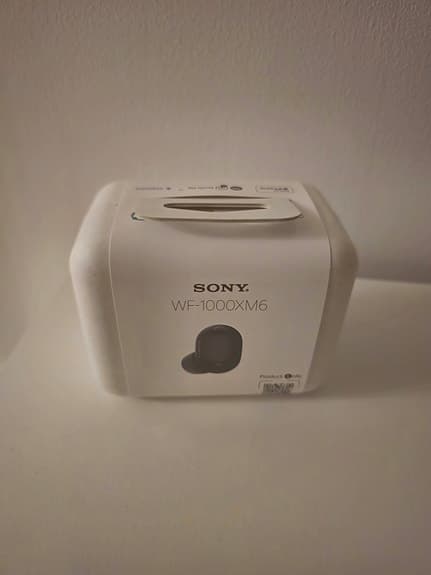 Sony WF-1000XM6