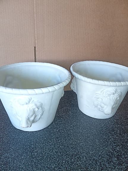 Blomkrukor lejonhuvud