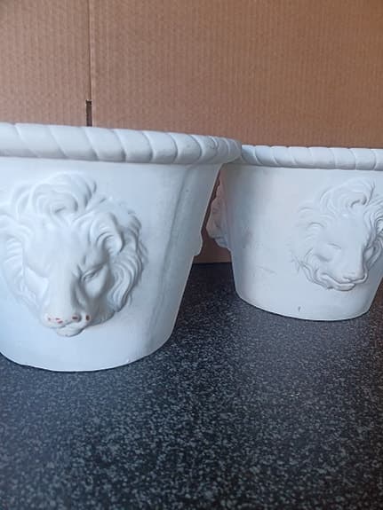 Blomkrukor lejonhuvud