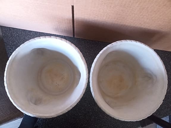 Blomkrukor lejonhuvud