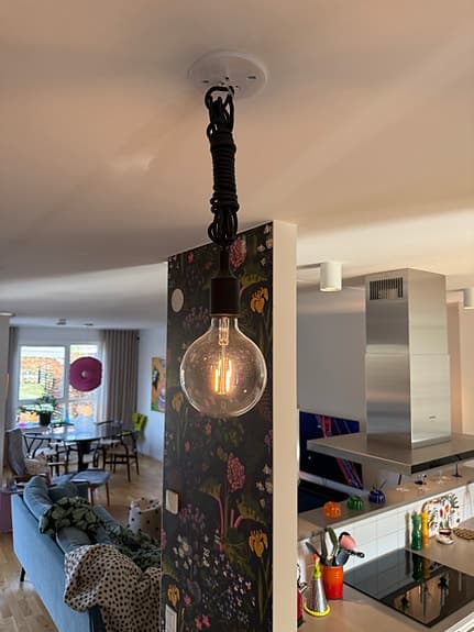 Svart Muuto E27 taklampa!