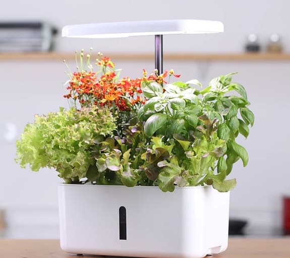 Växthus mini drivbänk för grönsaker