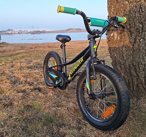 Specialized RipRock 16"