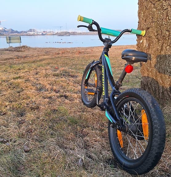 Specialized RipRock 16"