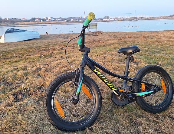 Specialized RipRock 16"