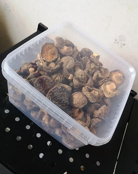 20st Genomskinliga Förvaringslådor Med Lock Av Bästa Kvalitet