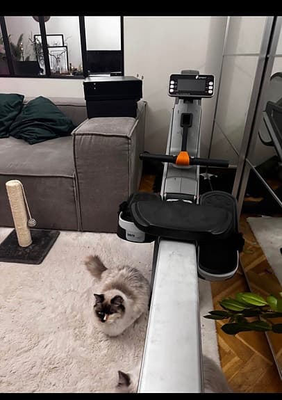 Spirit roddmaskin grå