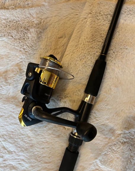 Fiskeset spö rulle håv och tillbehör