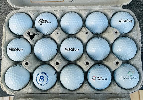 Titleist PRO V1 2025 golfbollar