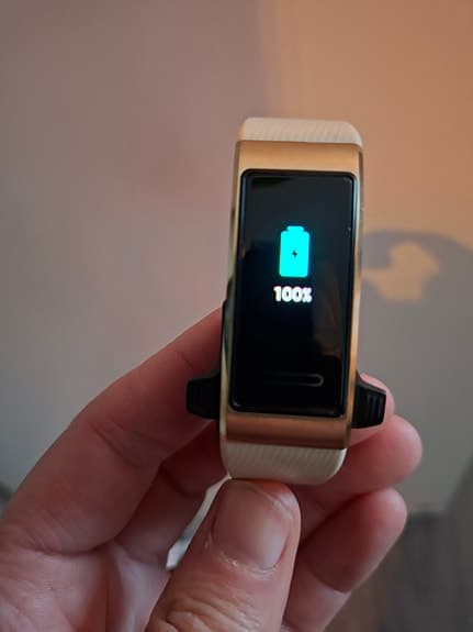 Huawei Band 3 Pro

Aktivitetsarmband Pulsklocka