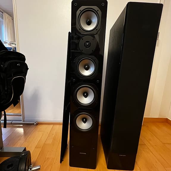 Dynavoice Challenger M-65 EX v4 högtalare golvstående svart