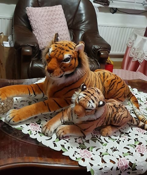 gosedjur två lejon/tiger  mot på bilden