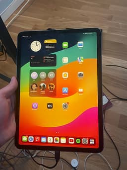 Apple iPad Pro 11 inch 1st gen  512 GB