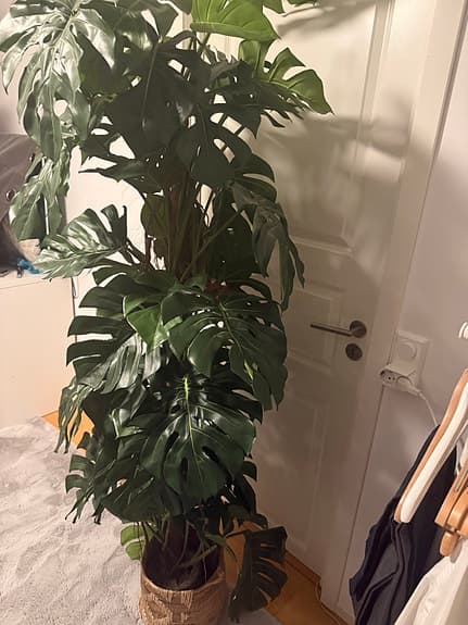 Större Monstera konstgjort