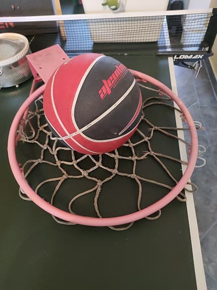 Dunlop basketboll med korg