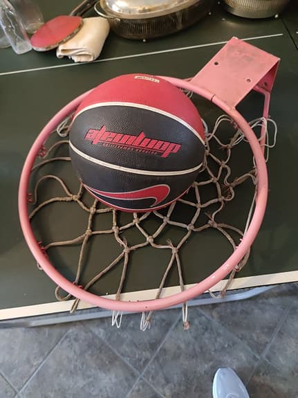 Dunlop basketboll med korg