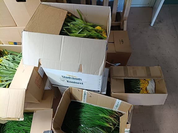 Plastblommor i stora mängder!