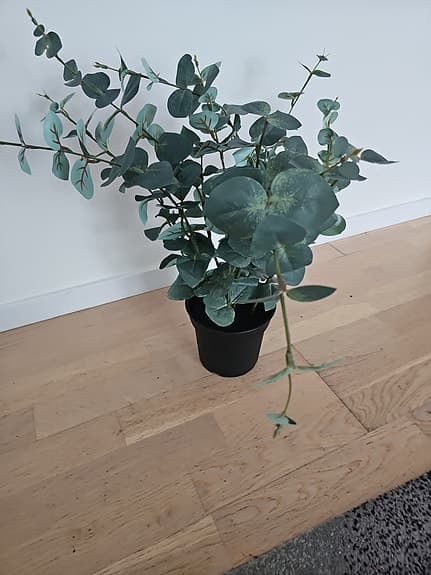 konstgjord krukväxt, inom-/utomhus eukalyptus, 15cm1