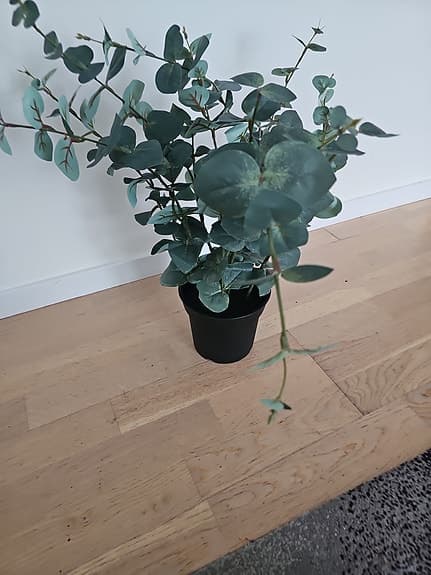 konstgjord krukväxt, inom-/utomhus eukalyptus, 15cm1