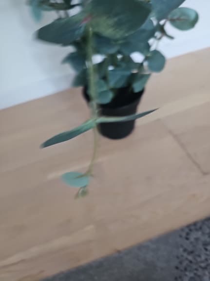 konstgjord krukväxt, inom-/utomhus eukalyptus, 15cm1