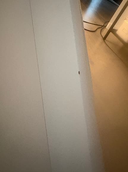 Rutschkana från jupiduu
