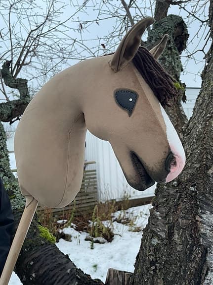 Egen syd käpphäst