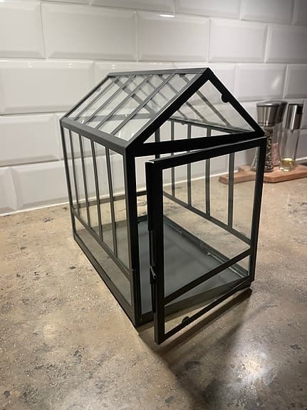 Växthus glas svart ram bordsväxthus