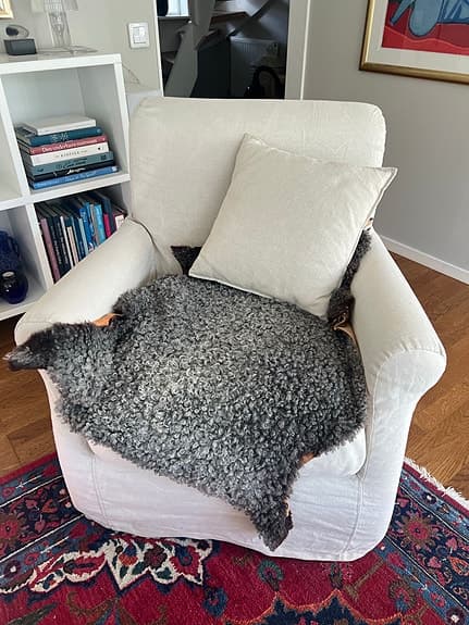 Beige fåtölj i linneliknande tyg