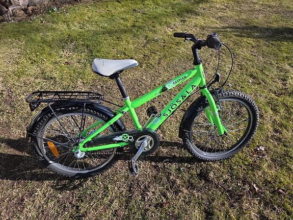 Sjösala Caspian barncykel 20" grön