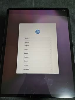 iPad Pro 12.9 Gen 3 2018 A1895 256GB WiFi + Cellular 4G