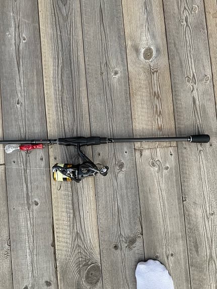 Abborrset – Perfection Spin + Shimano Sahara 2500 i bra skick