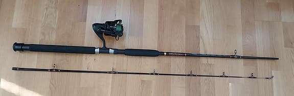 Westin Gold Tiger fiskeset spö med haspelrulle och tillbehör