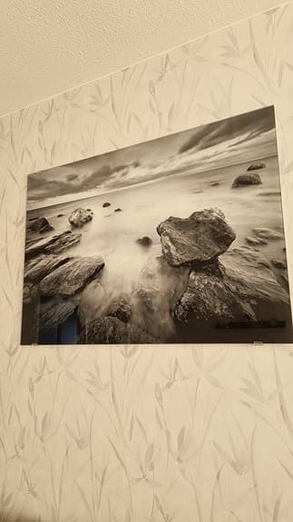 Svartvit naturmotiv väggtavla