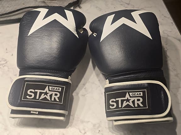 Boxningshandskar – 14 oz – nästan nya