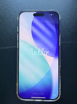 Apple iPhone 16 Pro Max 256 GB – mycket bra skick