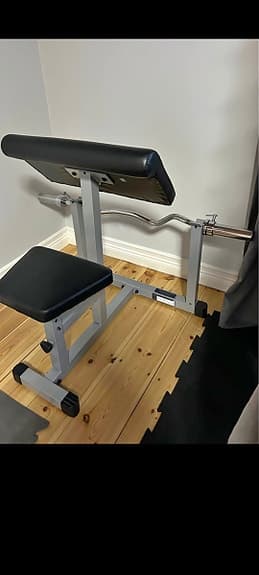 Curlbänk biceps gym
