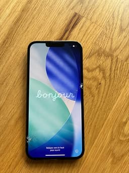 Apple iPhone 13 Pro Max mobiltelefon 256 GB grå