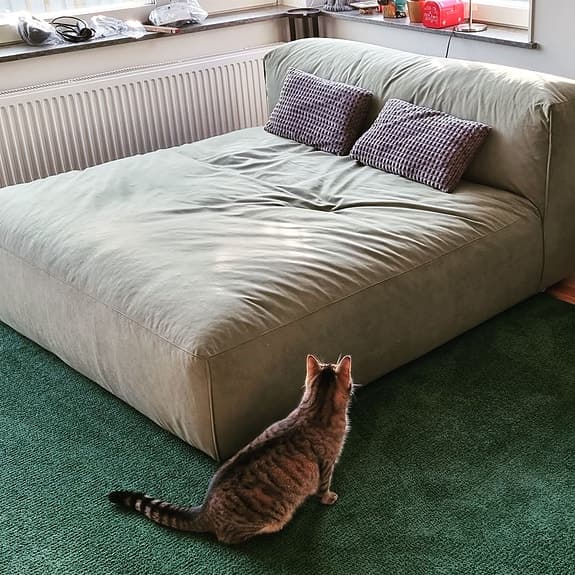 Sits Edda Schäslong