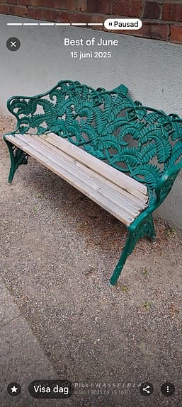 Ormbunke Trädgårdsbänk gjutjärn och trä grön