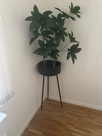 Fin hög kruka med piedestal