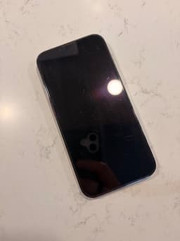 Apple iPhone 13 Pro 256 GB