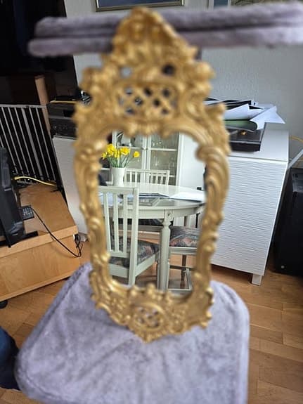 Antik spegel i guldfärg