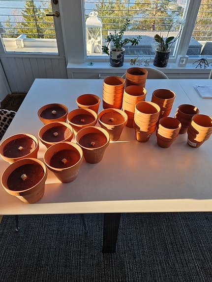 Terrakottakrukor i olika storlekar 50st,