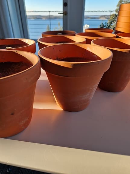 Terrakottakrukor i olika storlekar 50st,