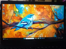 15,6" 9:e Gen kraftfull Gaming Dator i Bra skick Dell  5501 i7-9850 32GB RAM