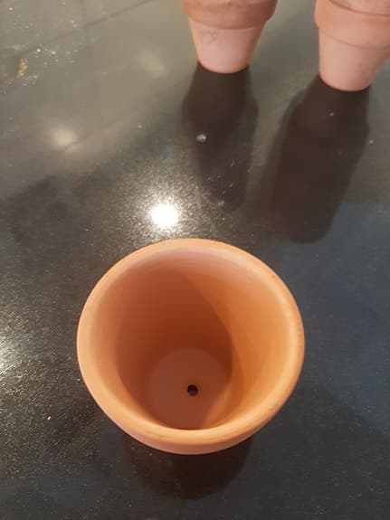 12 st små lerkrukor 5*5  och 20 st frön av flerårig  chilli