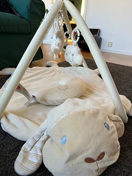 Baby gym Fehn