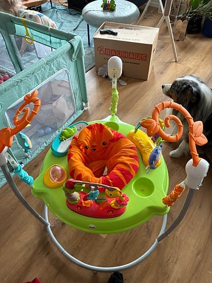 Fisher- Price hoppgunga