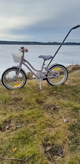 bmx star pinepeak