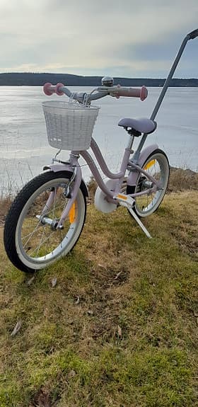 bmx star pinepeak